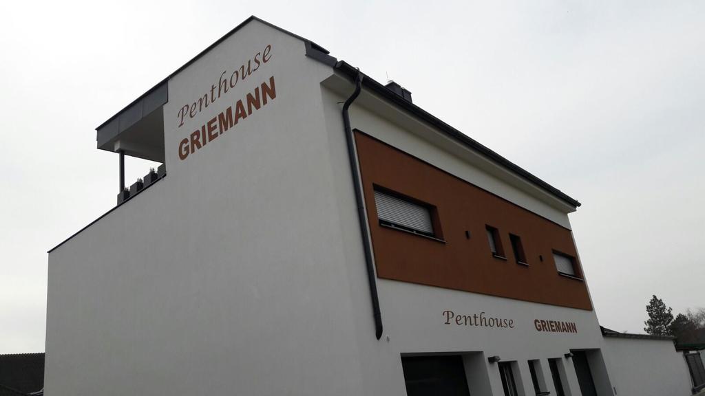 Penthouse Griemann 2 Fuer Max 4 Personen Mit Eigener Grosser Dachterrasse Zum Relaxen! Illmitz Εξωτερικό φωτογραφία